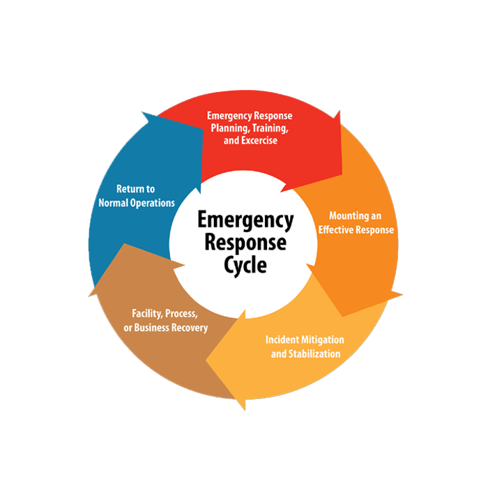 Management Plan Development